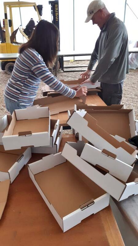 Mise en forme des plateaux de fruits pour les Journées Portes Ouvertes.