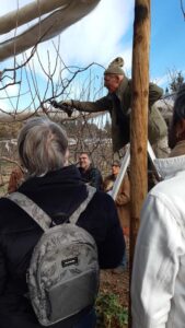 Jean-Paul Barale en démo lors de l'atelier taille au verger du 14 janvier 2025