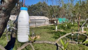 Bouteille suspendue testeur parasite hyménoptère