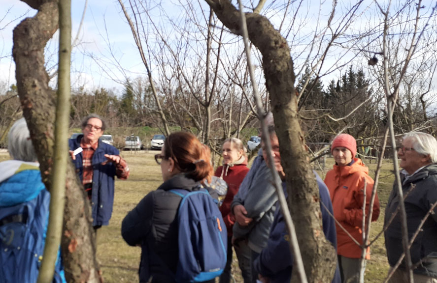 atelier taille douce Croqueurs Aix